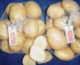 Fresh Potato